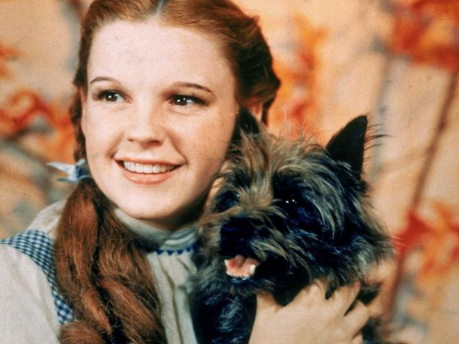 Judy Garland daily sat on a coffee diet, ate chicken soup and smoked 80 cigarettes hocking Hollywood Beauty Secrets
