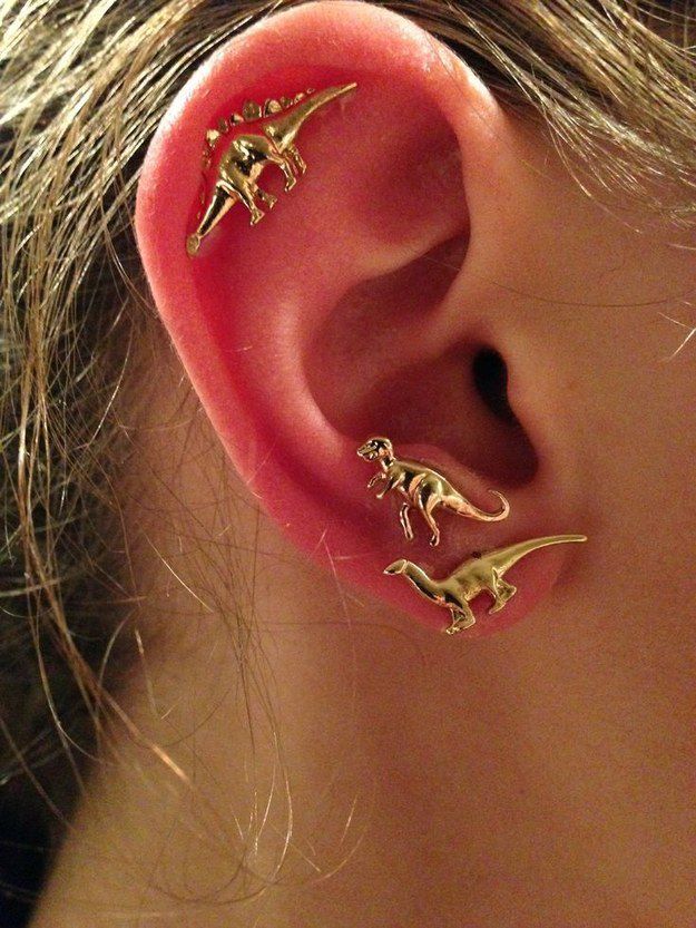 31 Cute & Adventurous Ear Piercings Ideas
