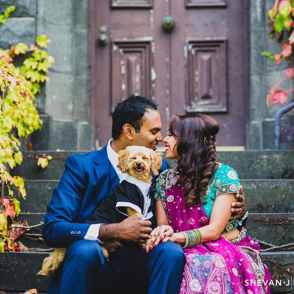 Including Your Pets Fabulous Pre-Wedding Shoot Ideas for Every Kind Of Couple!