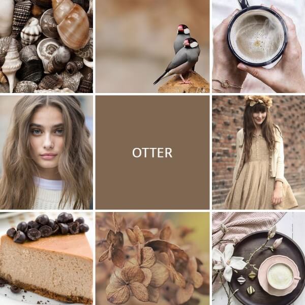 Time To Add Some Trendy Fall-Winter Colors To Your Closet