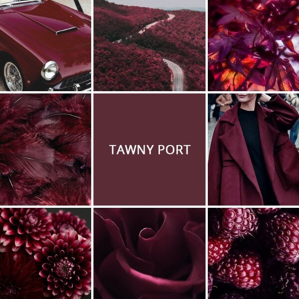 Time To Add Some Trendy Fall-Winter Colors To Your Closet