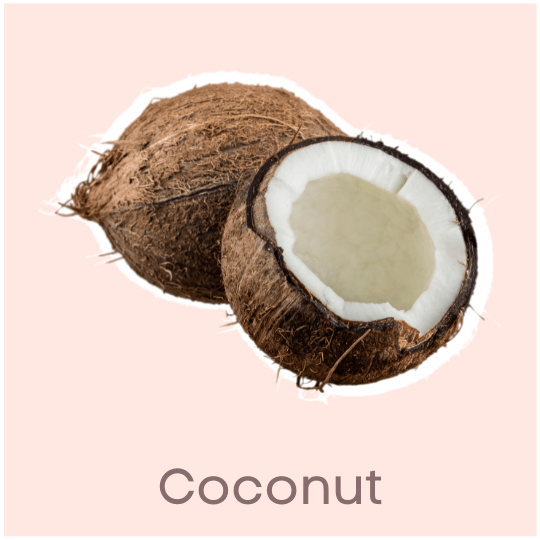 Coconut Best food for Skin & Hair