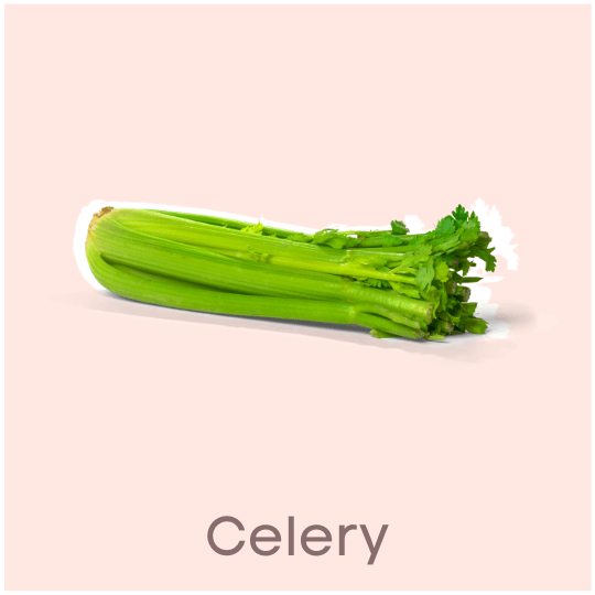 Celery Near Zero Calorie Food Ideas for Weight Loss
