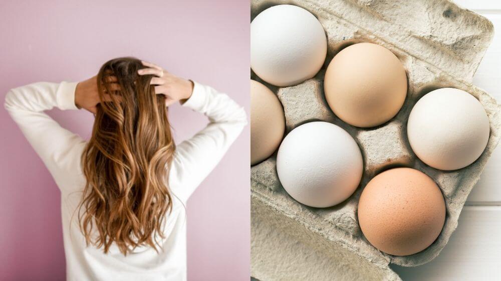 Egg Masks For Hair: 5 Simple Ways to Use this Magic Ingredient - NDTV Food