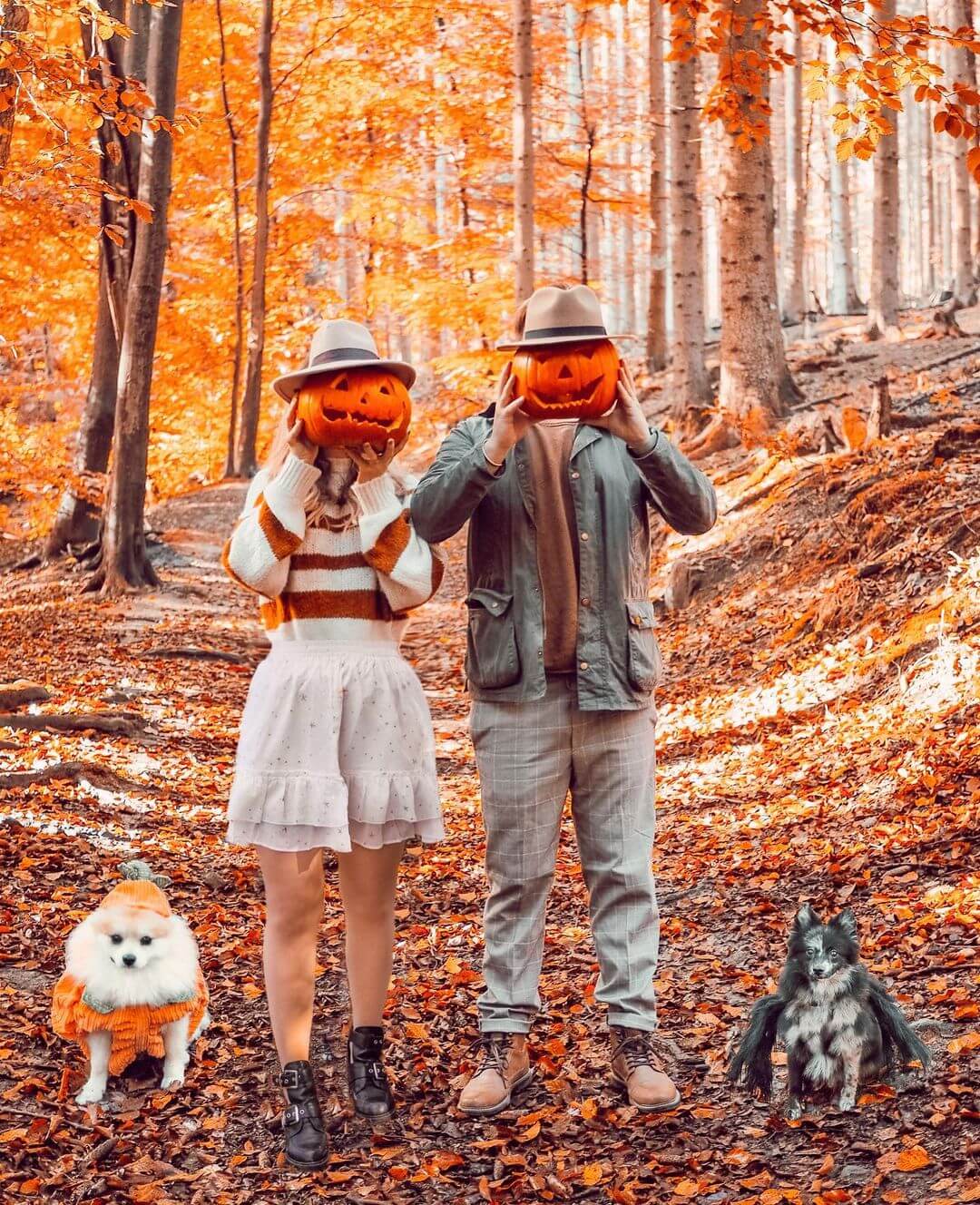 Halloween Photoshoot Ideas For The Doggo Models