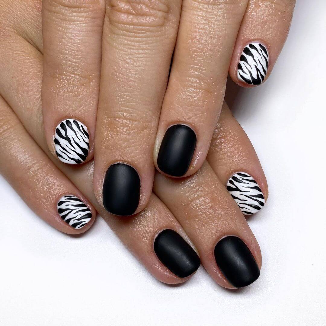 Zebra Nail Art Designs Zebra Stripes and Black Nails Art