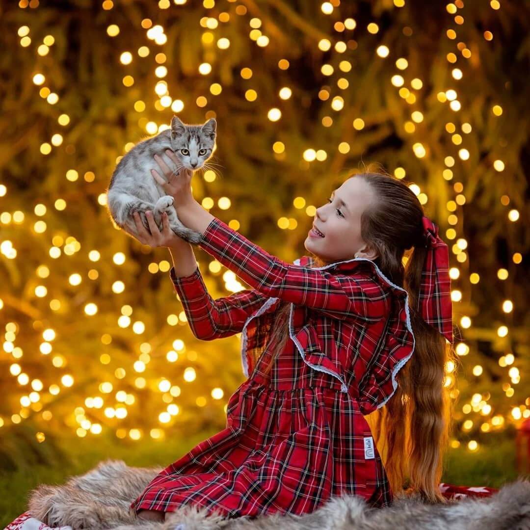 Christmas Photoshoot Ideas for Teenage Girl Pose With A Cat In A Decorated Setup