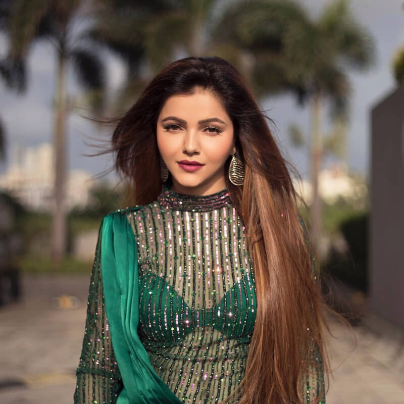 chhoti-bahu-fame-actress-rubina-in-thick-long-and-silky-hair - K4 Fashion