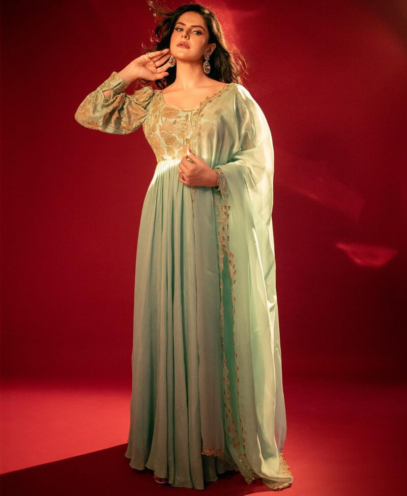  Indian model Zareen Khan in a High Waist  long dress with details