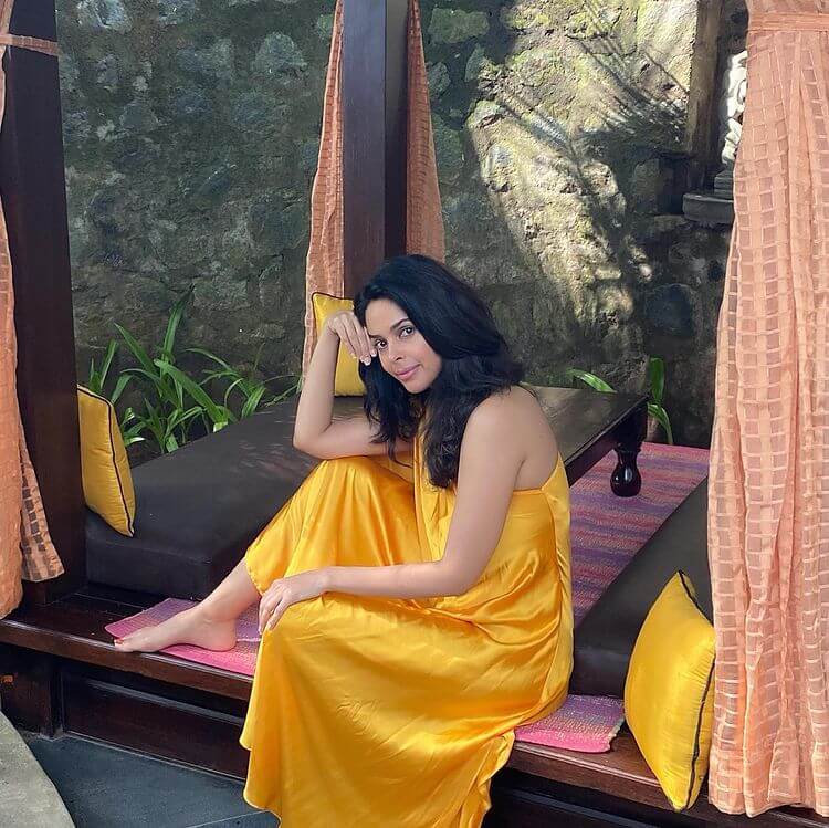 Double Dhamaal Heroine Mallika Sherawat in a golden-colored maxi dress