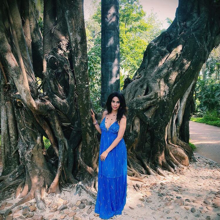 Murder Movie Actress Mallika Sherawat in a navy blue maxi dress
