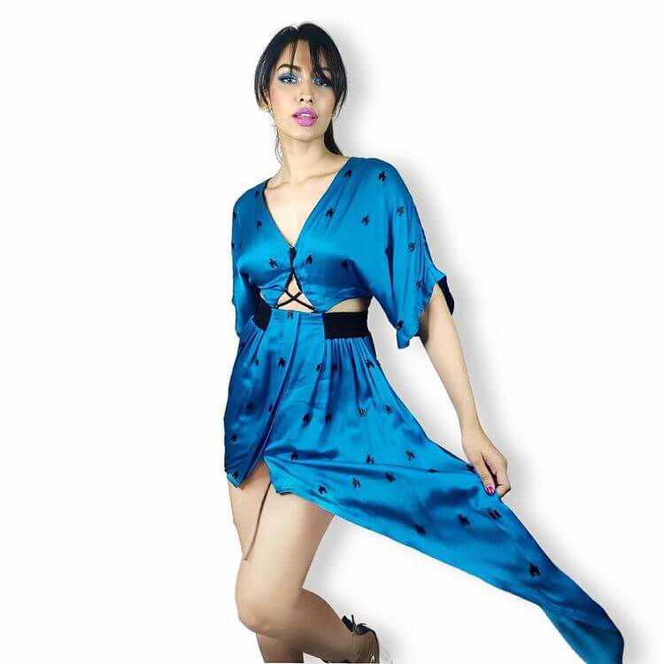 Jhataleka Malhotra  Dresses, Summer outfits, Clothes Rowdy Movie Actor, Jhataleka Gorgeous In Blue Dress