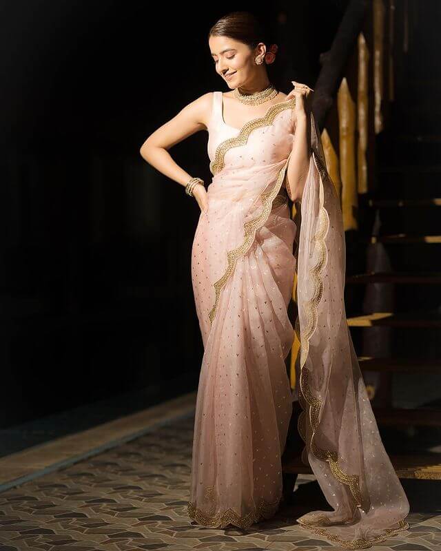 Rukshar Dhillon's Trendy Sarees, Dresses, Outfits, Wear a Beautiful Pink Net Saree With An Embroidery Look
