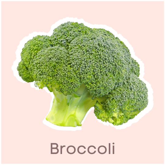 Broccoli Near Zero Calorie Food Ideas for Weight Loss