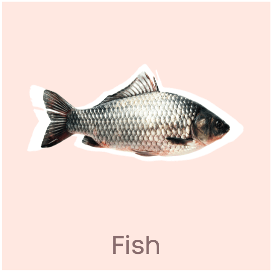 Fish Best food for Skin & Hair