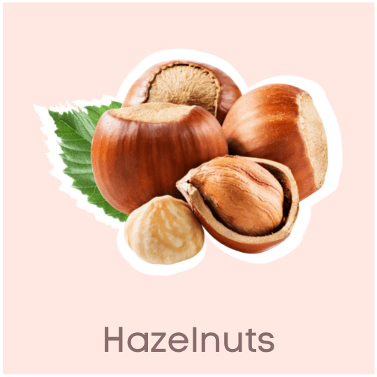 Hazelnuts to Eat during Pregnancy
