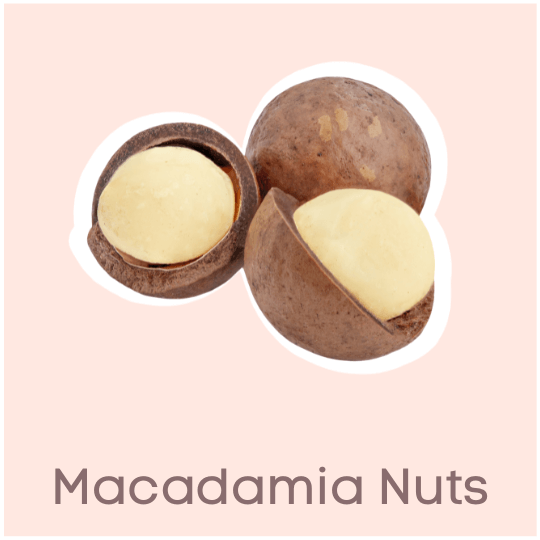 Macadamia Nuts to Eat during Pregnancy