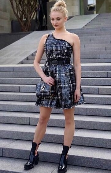  Sophie Turner Looks Chic In The Paneled Metallic Dress
