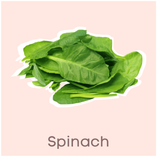 Spinach Near Zero Calorie Food Ideas for Weight Loss