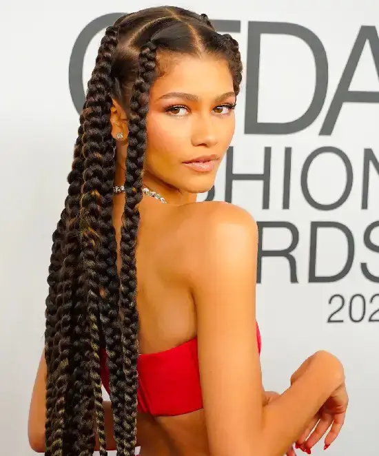 Multi Braid Hairstyle