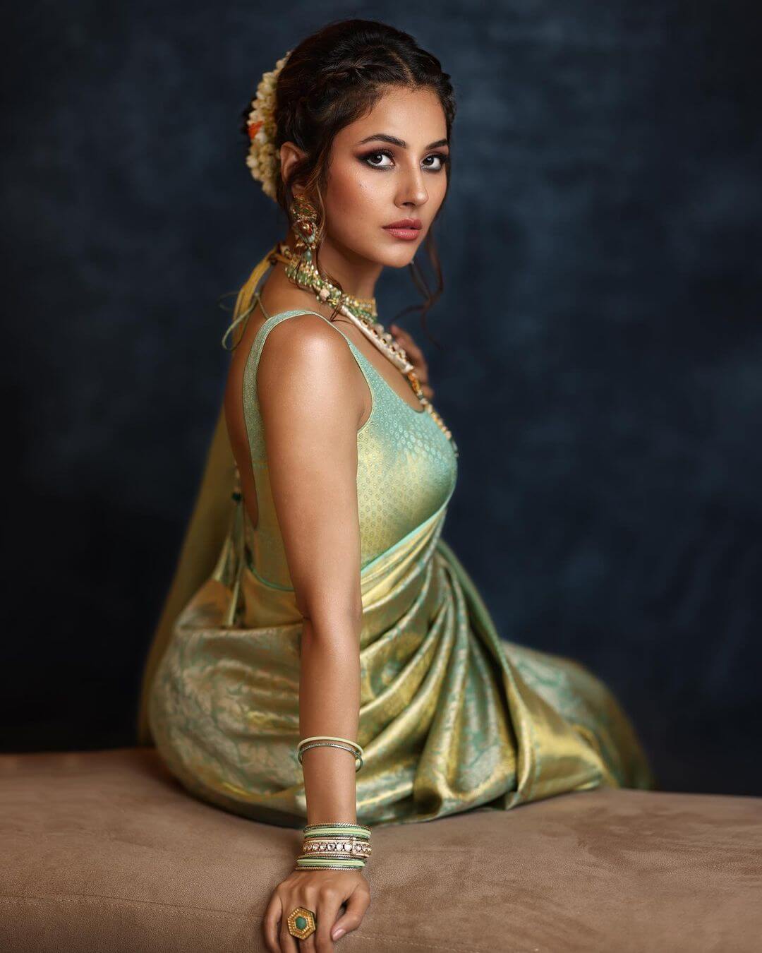 Shehnaaz Gill's Glamorous Traditional Saree Look For South Filmfare Awards