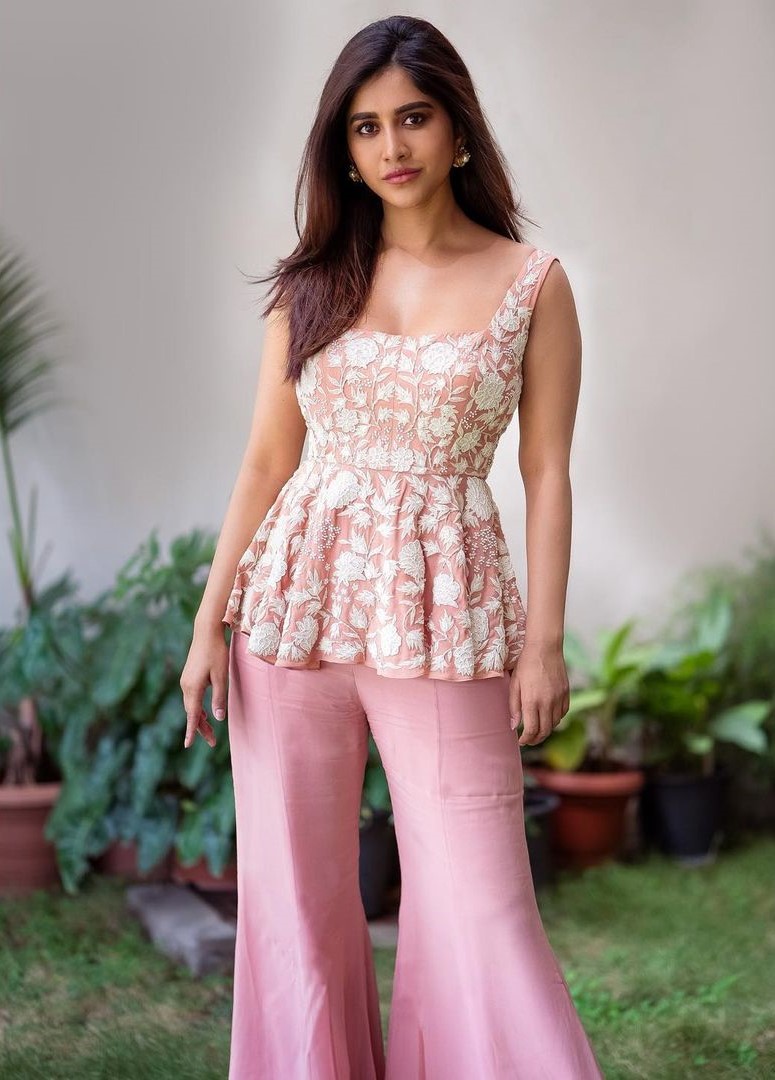 Nabha Natesh In Pink Kurta Plazzo Outfit : Nabha Natesh Stylish and Traditional Outfit Looks