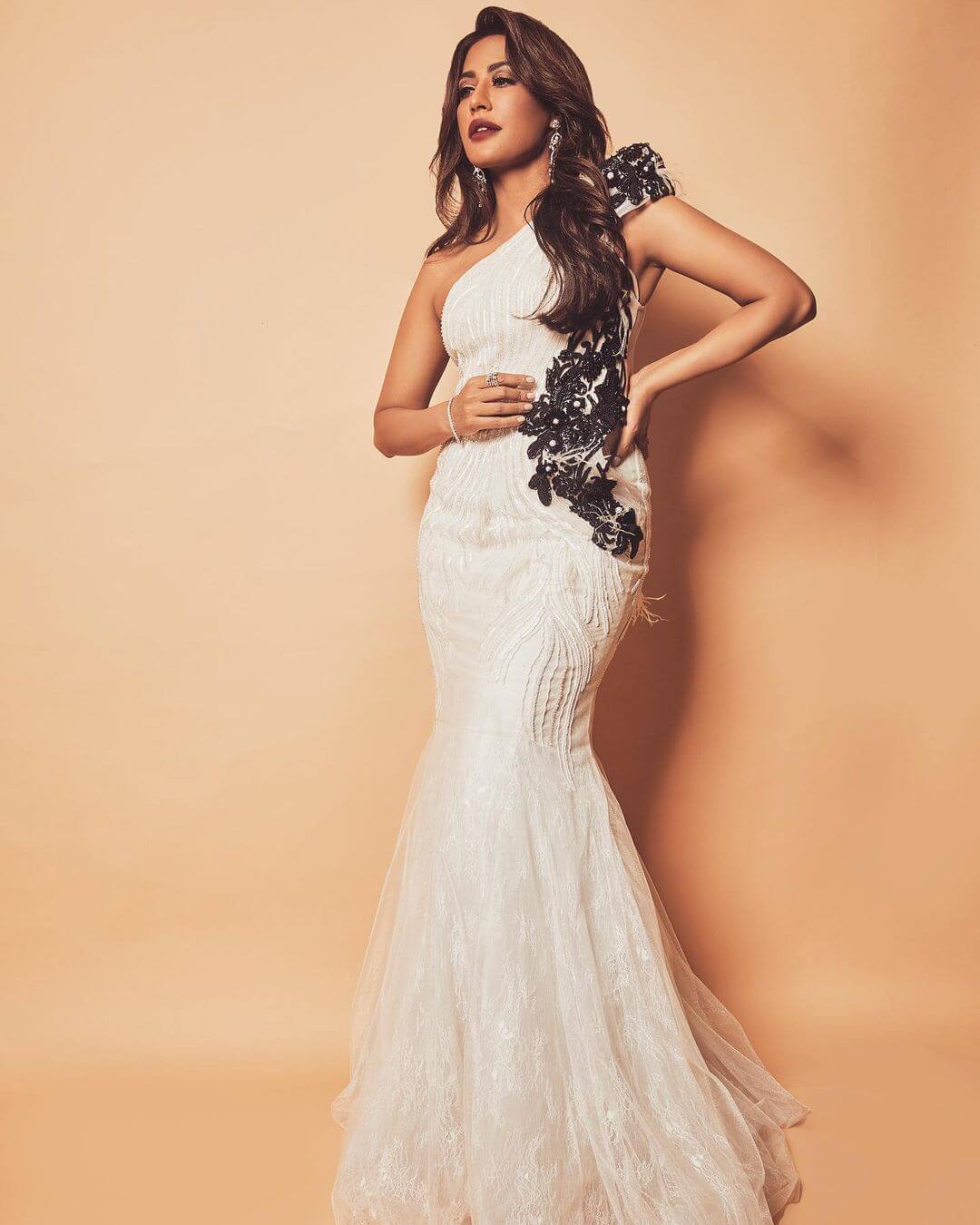 Chitrangda Singh Look Beautiful In  One Shoulder  Maxi Lace Regular White  Dress