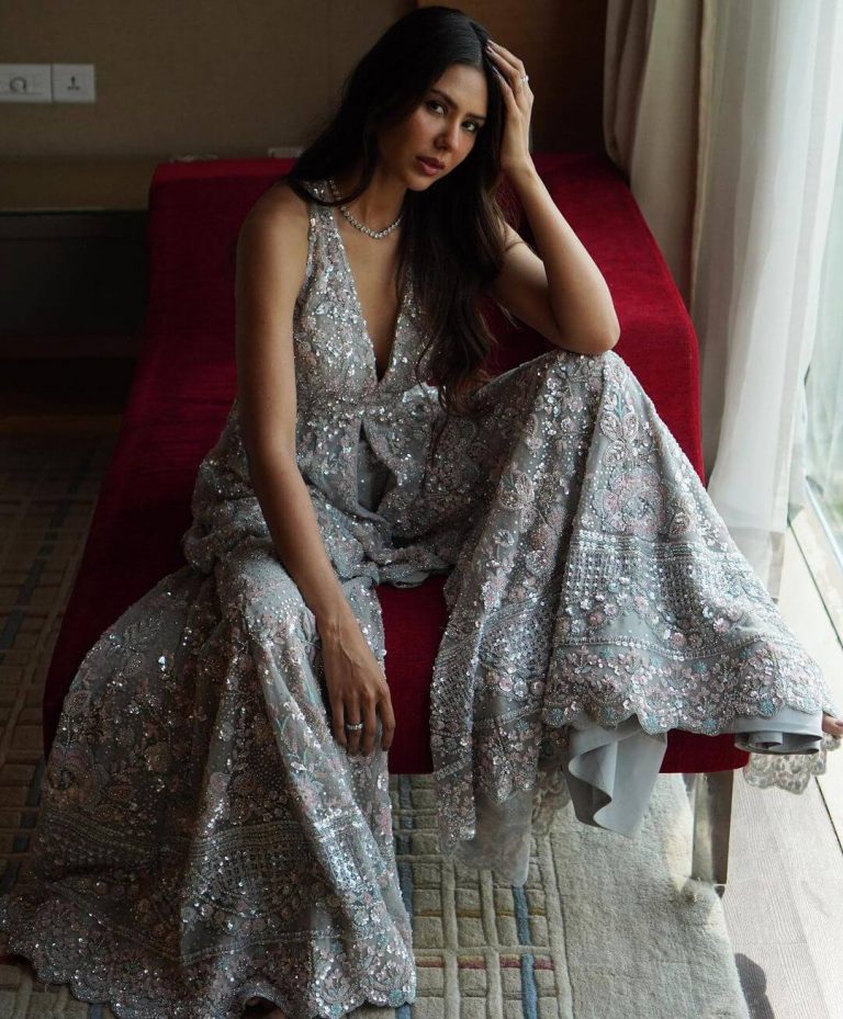 Sonam Bajwa Outfits, Looks And Style - K4 Fashion