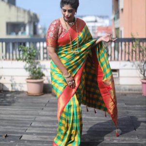 Aditi Sarangdhar Traditional & Western Outfits & Looks: Saree Outfit & Looks