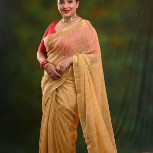 purva Nemlekar Traditional, Ethnical Outfits & Looks: Golden Saree Outfit 