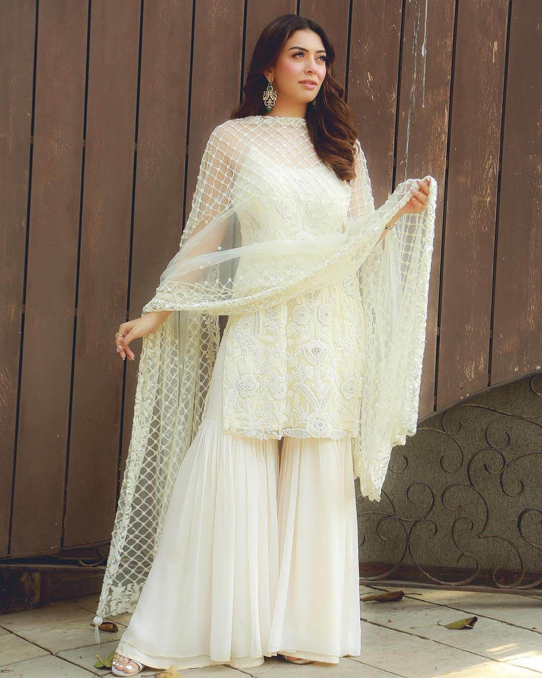 Hansika Motwani Tempting Ethnical Looks And Outfits