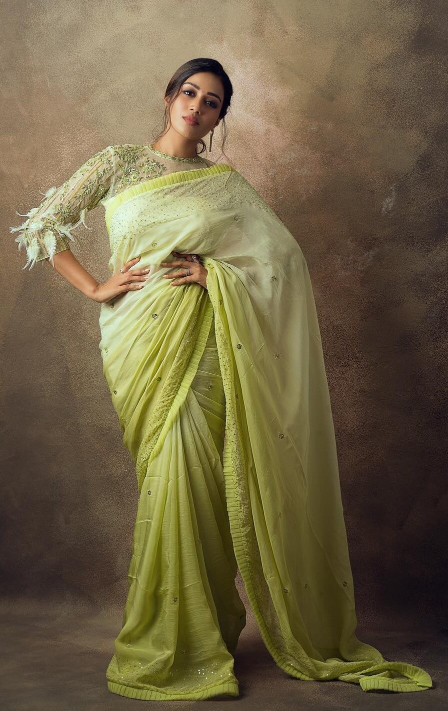 Nivetha Pethuraj Mesmerizing Look In Light Green Chiffon Saree With Designer Blouse