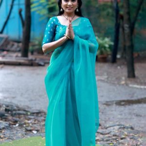 Prarthana Behere Beautiful & Traditional Looks & Outfit: Blue Plain Saree Traditional Outfit