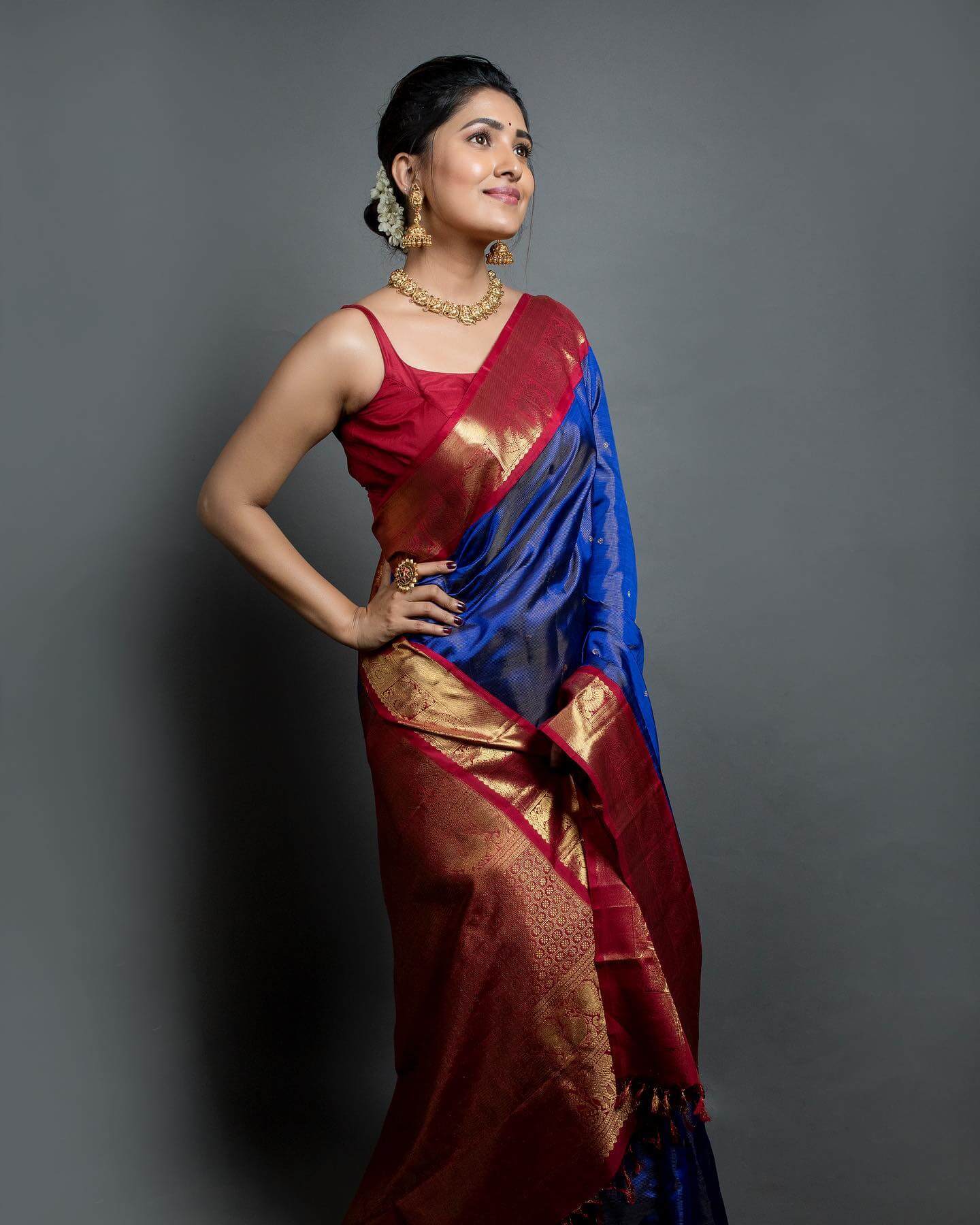 Vani Bhoja Look Stunningly Charming In Blue & Red Gold Blend Silk Saree With Sleeveless Blouse