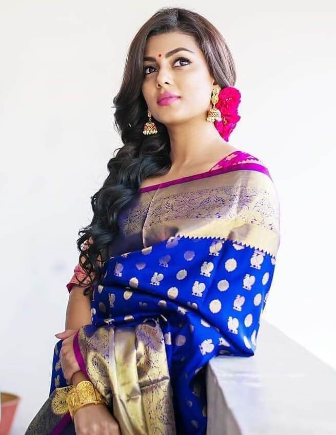 Anisha Ambrose Flattering Look In Blue Silk Saree With Pink Blouse