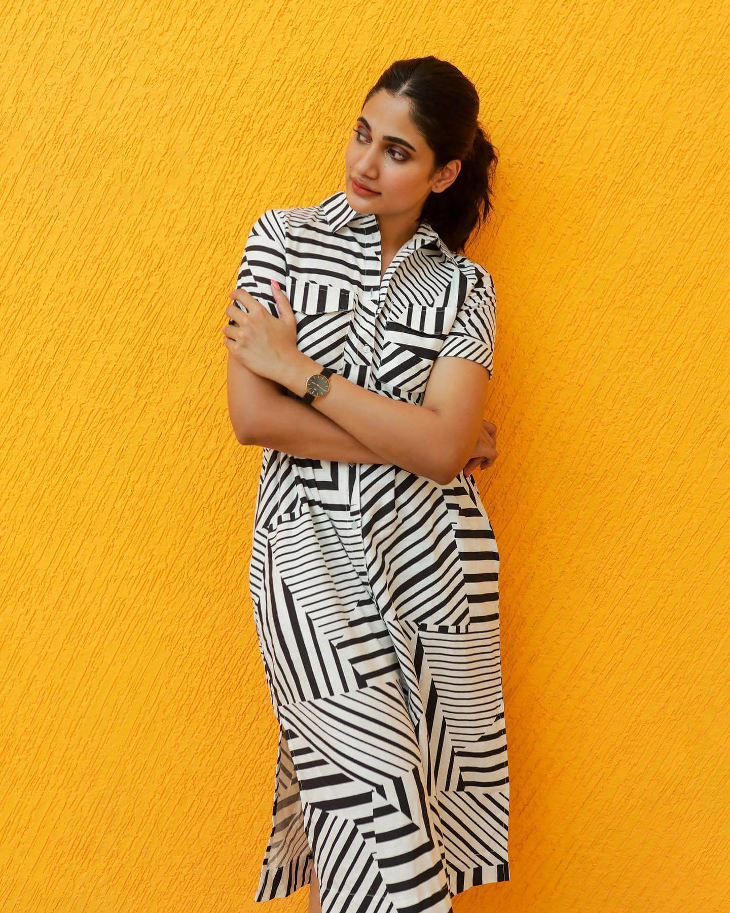 Losliya Mariyanesan In Black & White Zebra Pattern Collar Neckline Dress