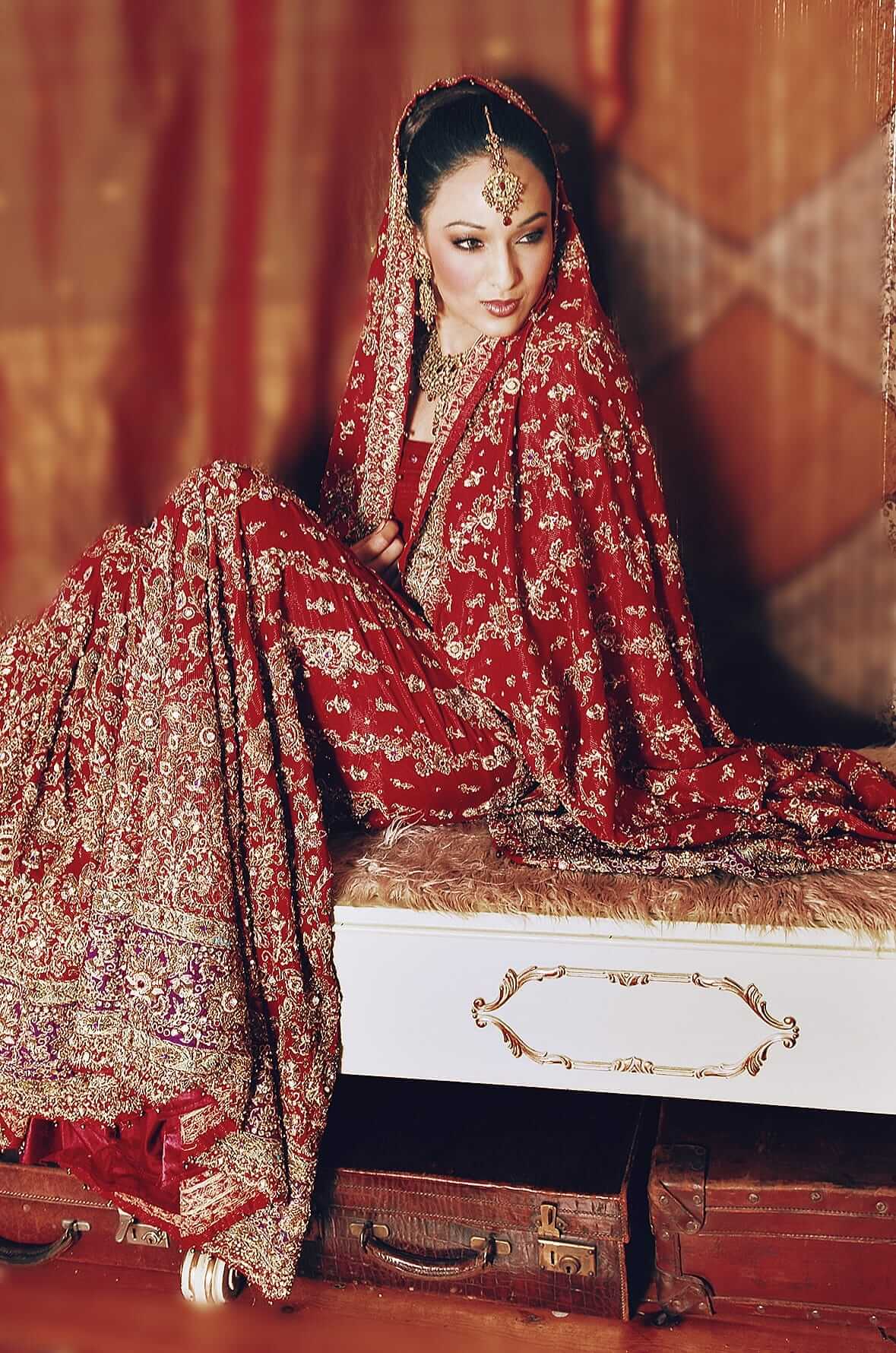 Nikesha Patel In Red Embellished Lehenga Gives Us Vintage Bridal Vibes
