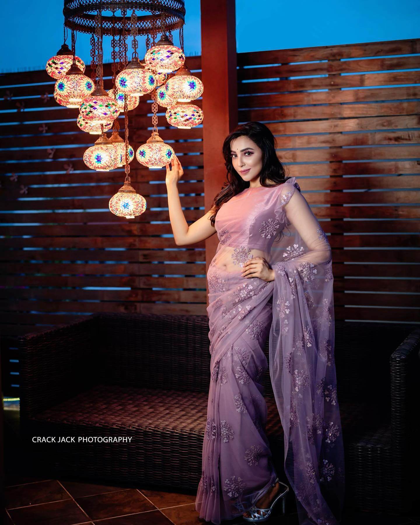 Parvathy Nair In Mauve Net Saree - Traditional Outfits & Looks
