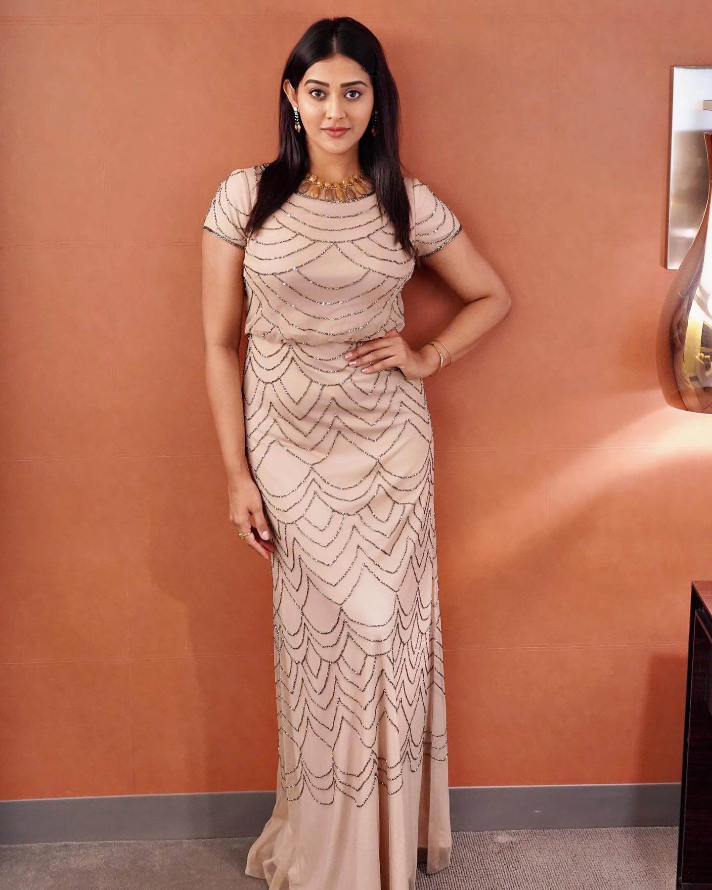 Pooja Jhaveri Looks Elegant In Beige Embellished Perfect Evening Gown Heart Throbbing Outfits & Looks