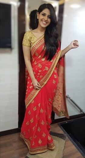Simran Pareenja In Red Golden Embroidered Saree Paired With Golden Shimmery Blouse Can Be Your New Bridal Western & Ethnic Looks 