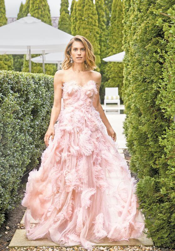 Allison Williams - Elegant In Dusky Pink Off-Shoulder Sleeves Feather Princess Gown