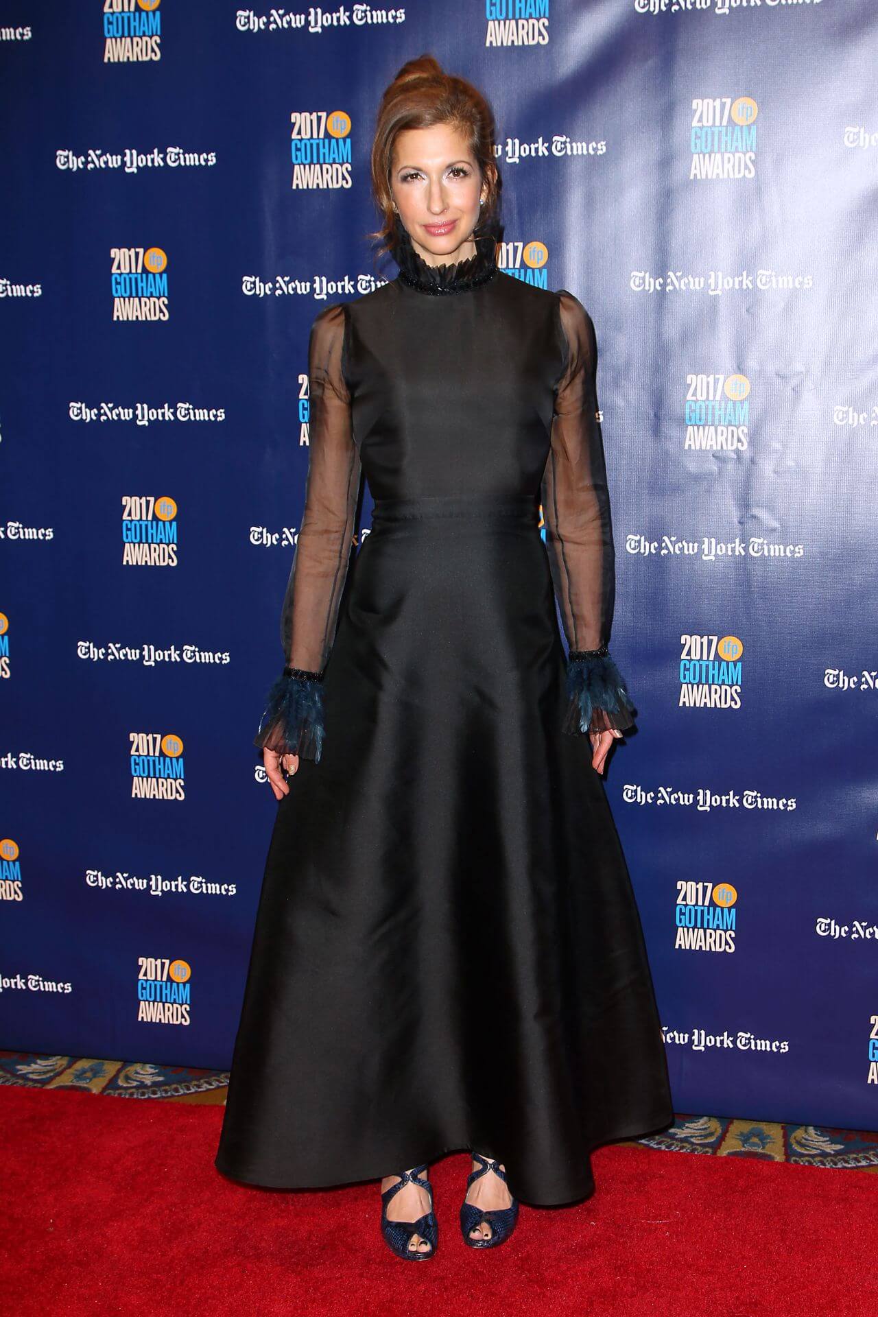 Alysia Reiner - In Black Sheering Net Ruffle Sleeves Fit & Flare Long Gown