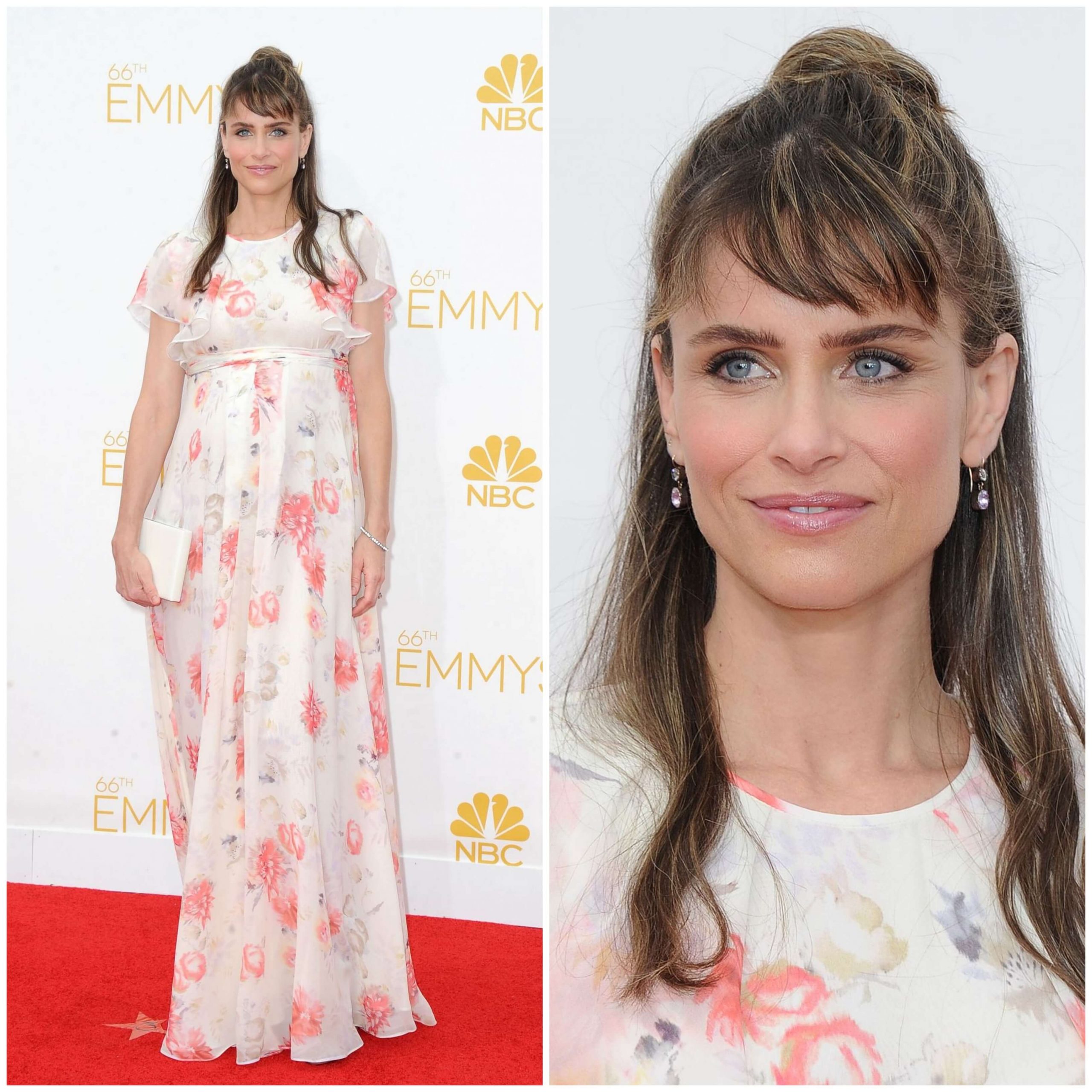 Amanda Peet In White Floral Print Half Sleeves Chiffon Long Gown At  Emmy Awards in Los Angeles