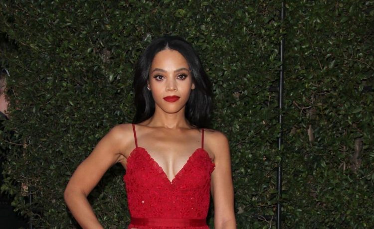 Bianca Lawson Hot Looks In Red Strap Sleeves Net Fabric Long Ruffle Gown