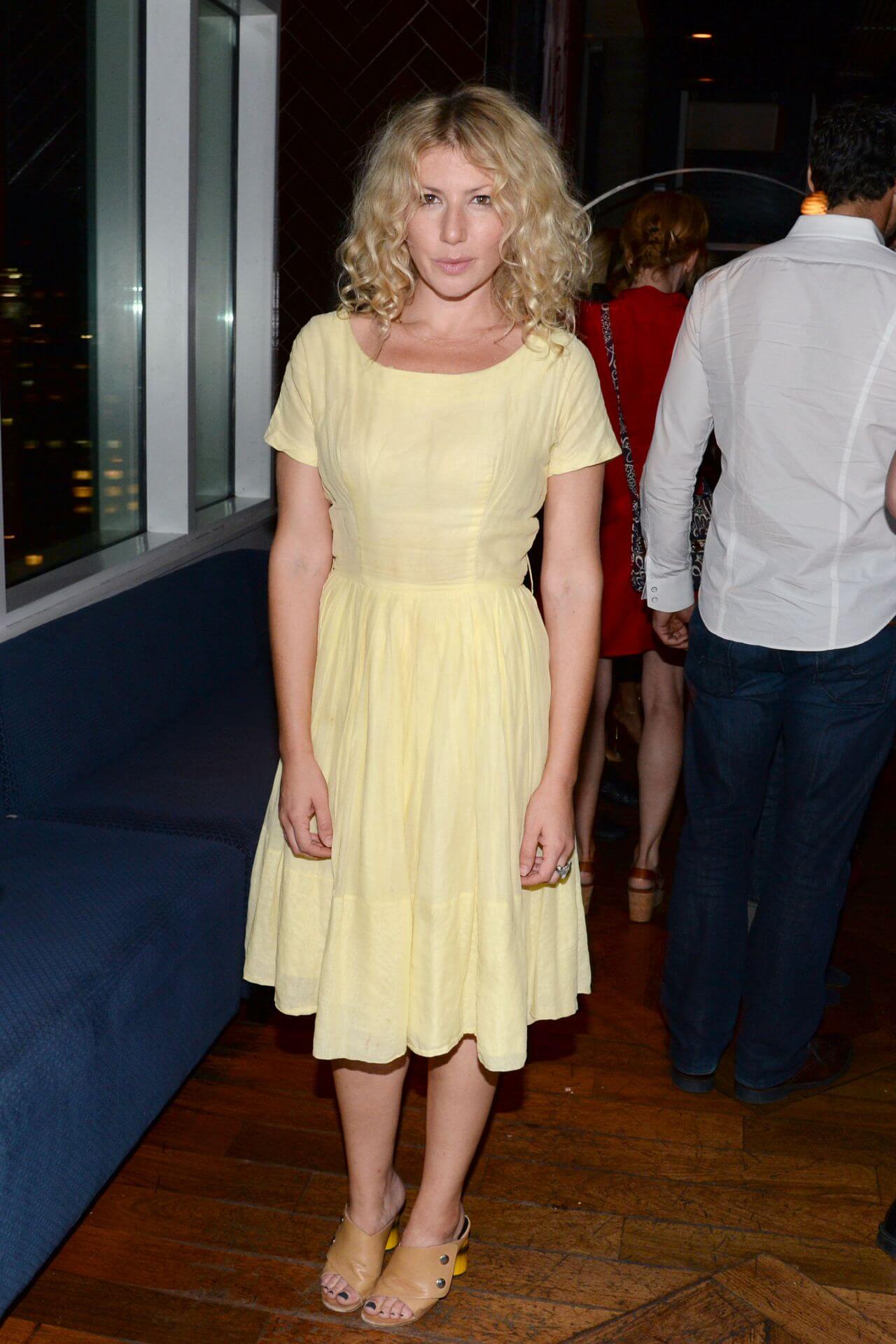 Ari Graynor In Yellow Half Sleeves Fit & Flare Frock Dress At‘The Diary of a Teenage Girl After Party in NYC