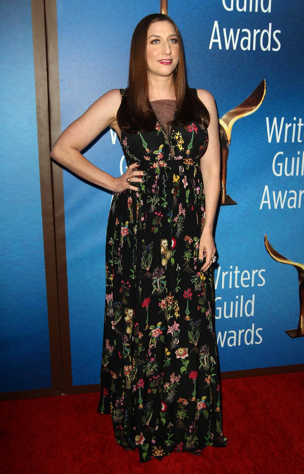 Chelsea Peretti In Black Floral Embroidery Long Maxi Dress At Writers Guild Awards  Red Carpet