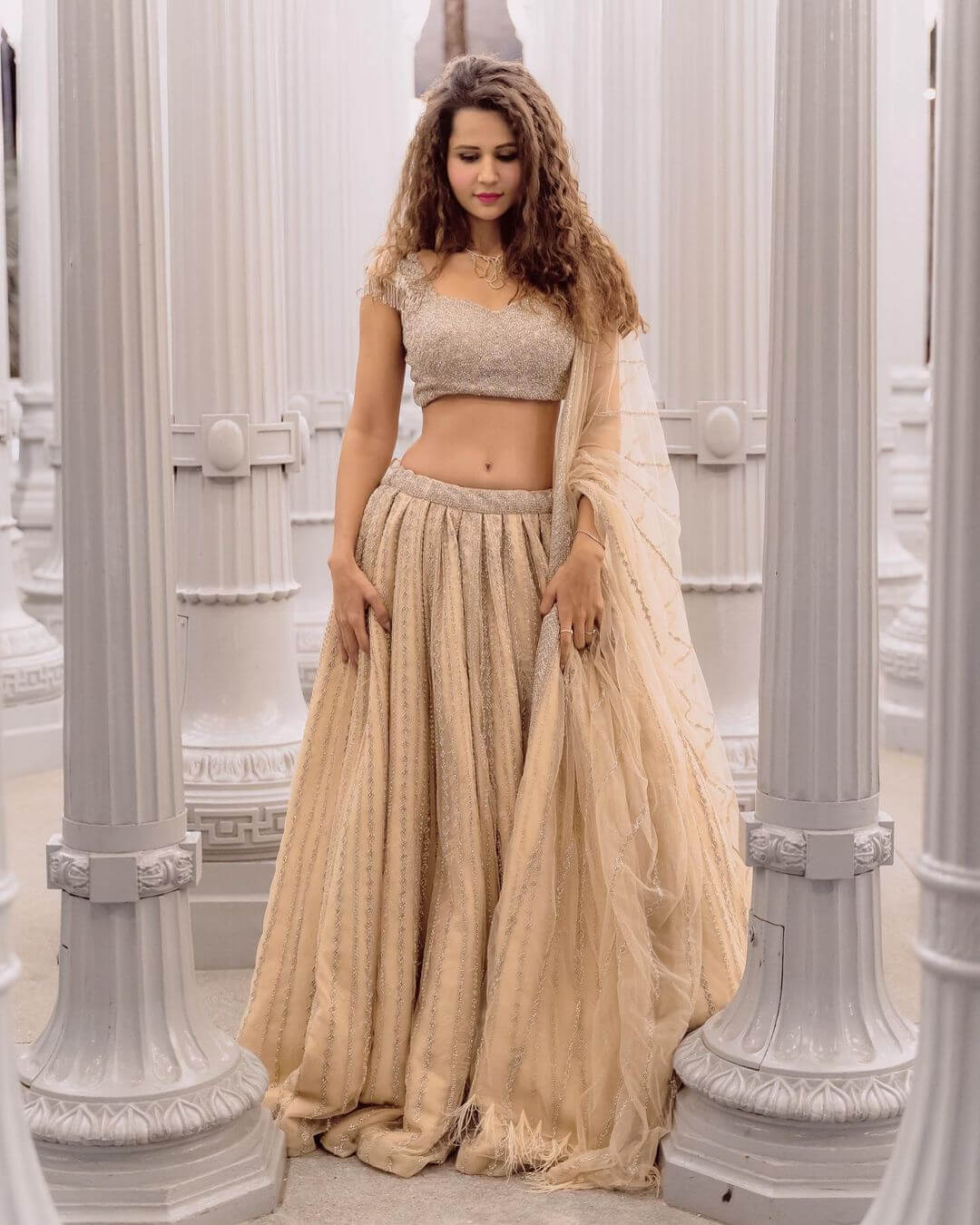 Radhika Bangia In Beige Shimmery Work Lehenga Set